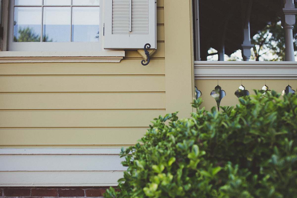 shutter green bush by house at daytime window